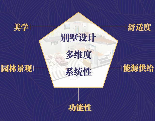 1512277149341758.jpg 5.jpg