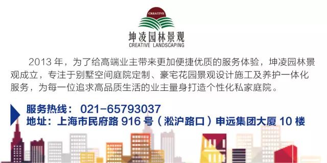 1516084462128708.jpg 34.jpg