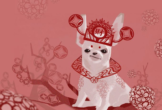 1518751498657998.jpg 26.jpg