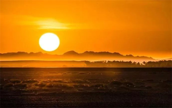 1530150081666175.jpg 1.jpg